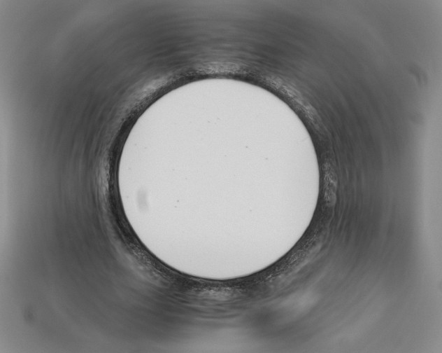 X0000112900631200910021435