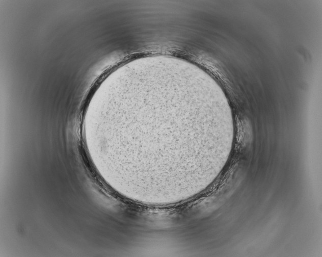 X0000112900632200910021435