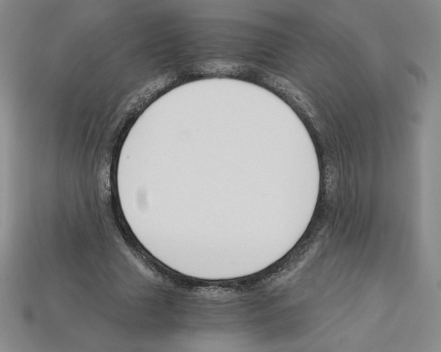 X0000112900633200910021435