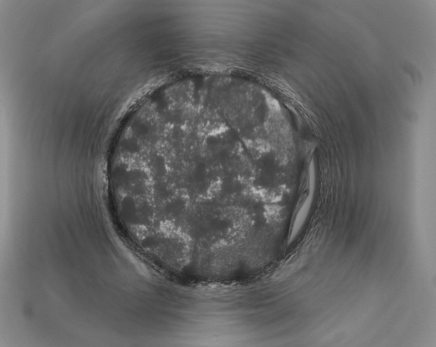 X0000112900634200910021435