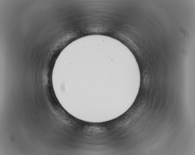 X0000112900635200910021435