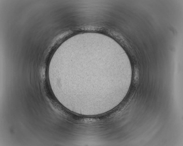 X0000112900636200910021435