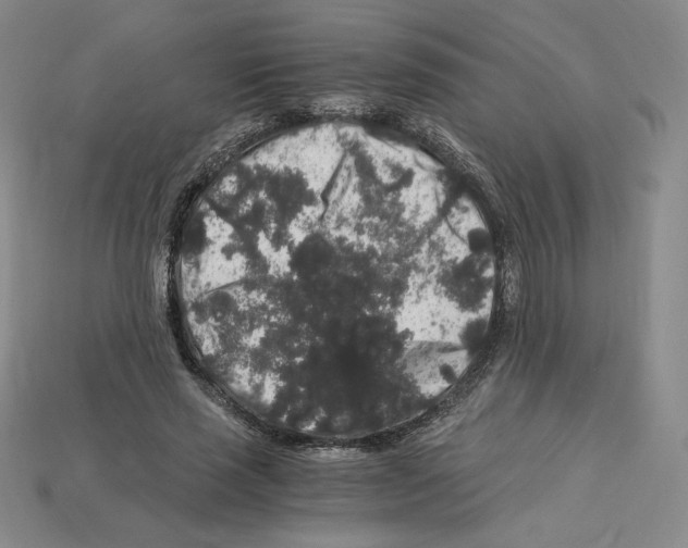 X0000112900637200910021435