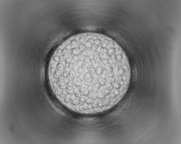 X0000112900638200910021435