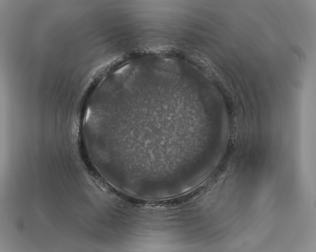 X0000112900640200910021435