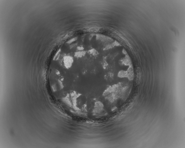 X0000112900641200910021435