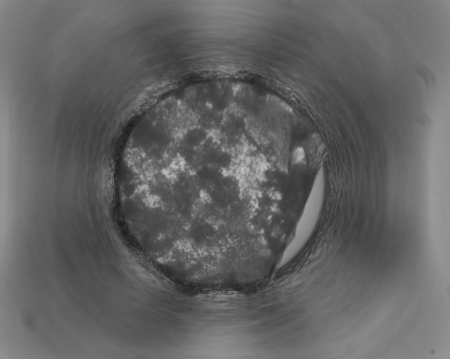 X0000112900642200910021435
