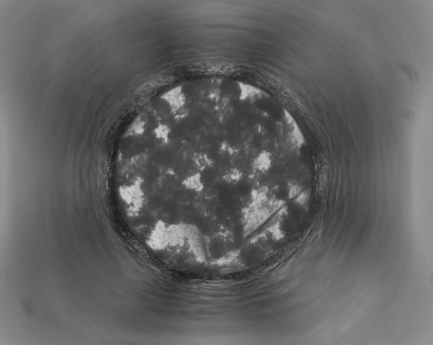 X0000112900643200910021435