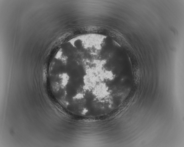 X0000112900644200910021435