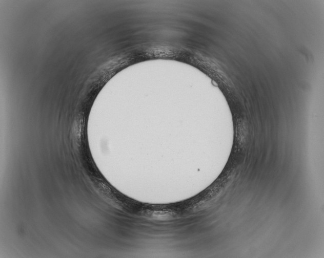 X0000112900645200910021435