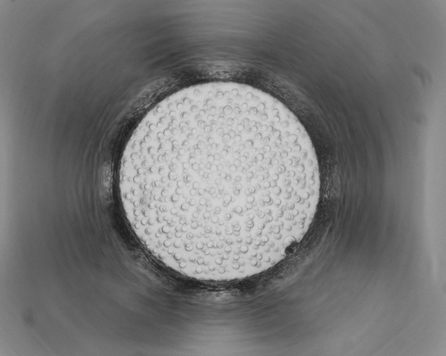 X0000112900646200910021435