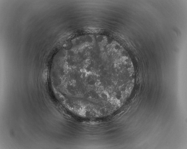 X0000112900647200910021435