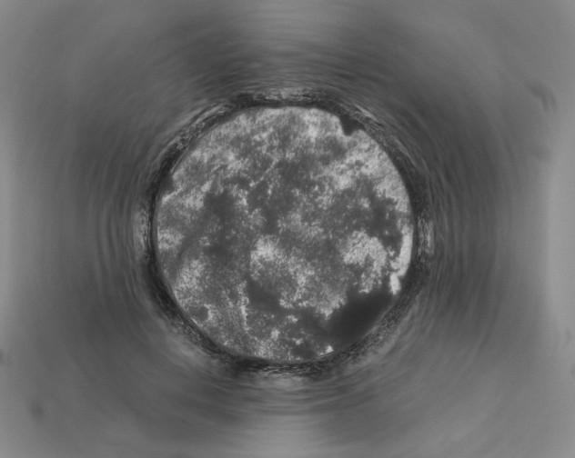 X0000112900648200910021435