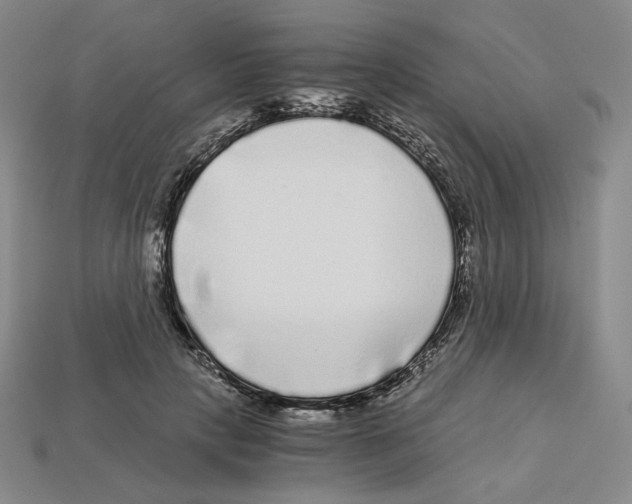X0000112900649200910021435
