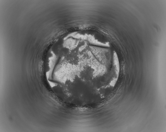 X0000112900650200910021435