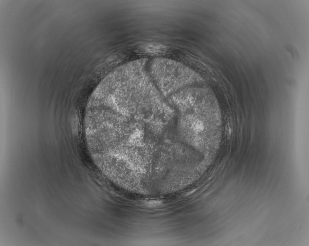 X0000112900651200910021435