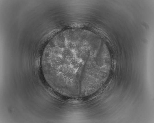 X0000112900652200910021436
