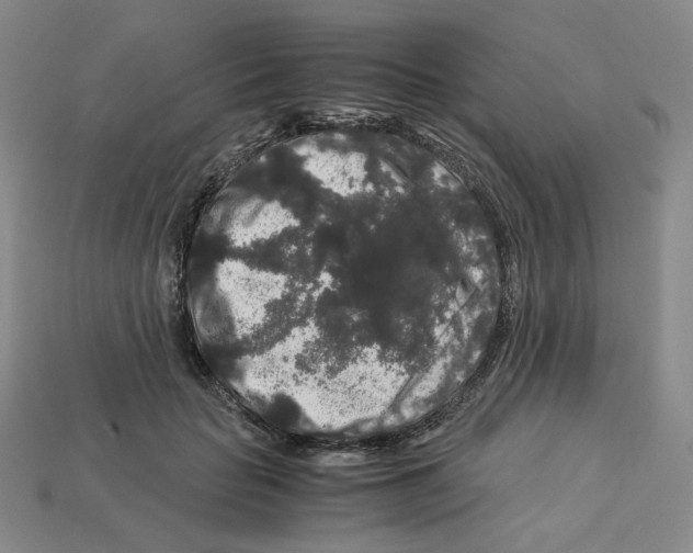 X0000112900653200910021436