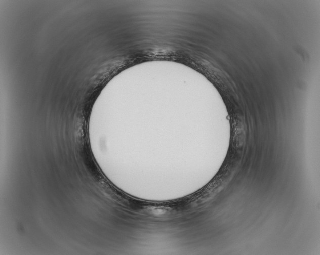 X0000112900654200910021436
