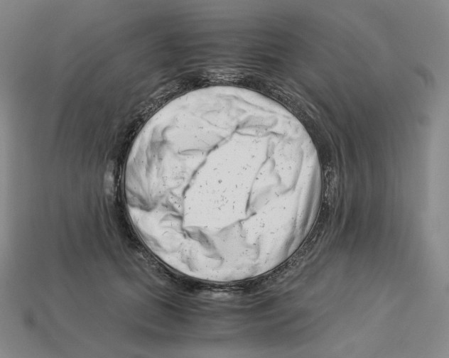 X0000112900655200910021436