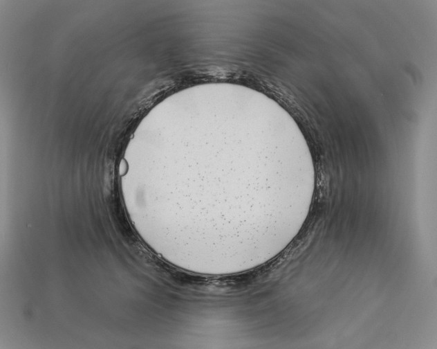 X0000112900656200910021436