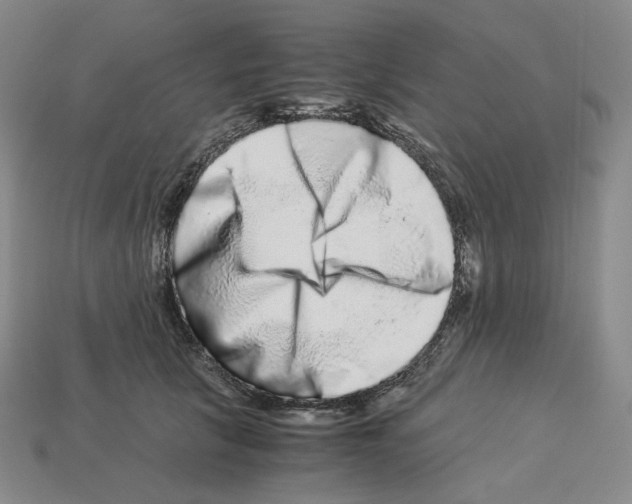 X0000112900657200910021436