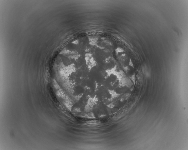 X0000112900659200910021436