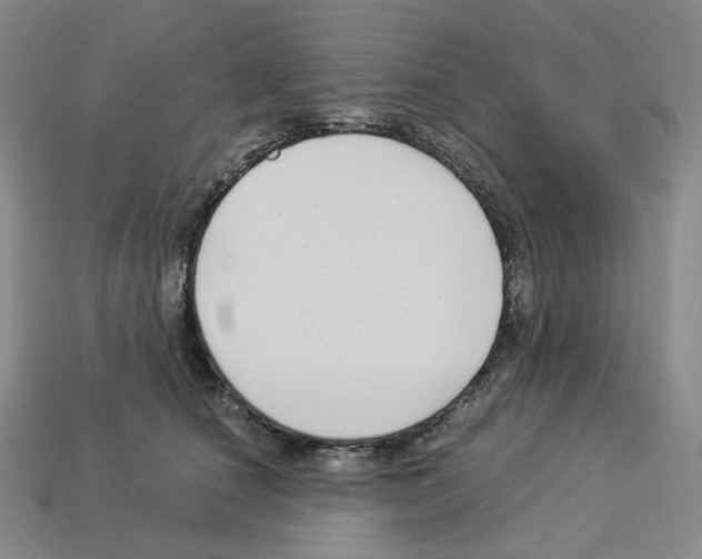 X0000112900660200910021436