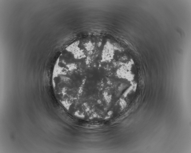 X0000112900661200910021436