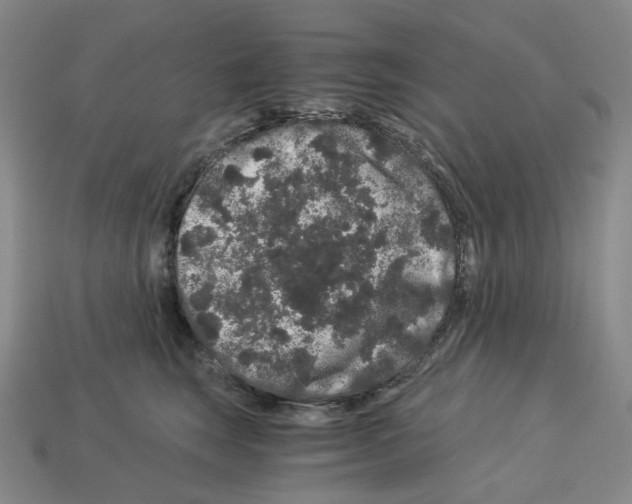 X0000112900663200910021436