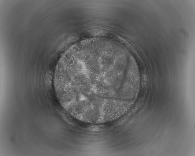 X0000112900664200910021436