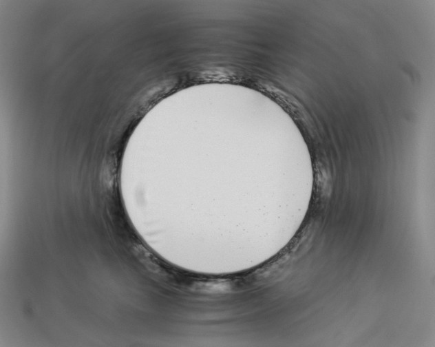 X0000112900665200910021436