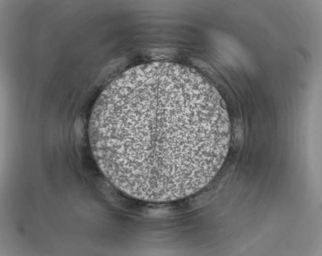 X0000112900667200910021436