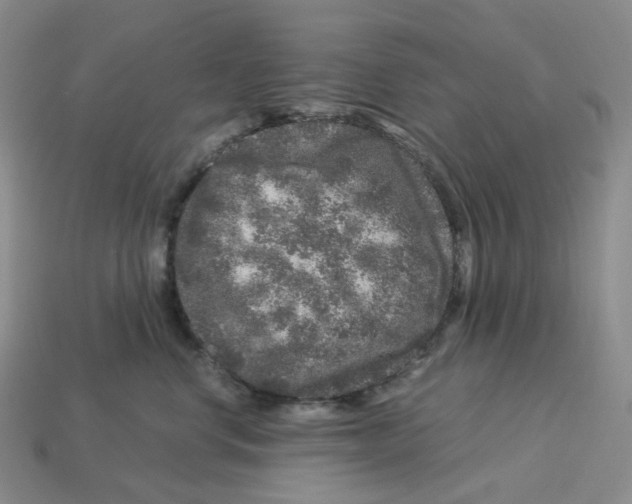 X0000112900668200910021436