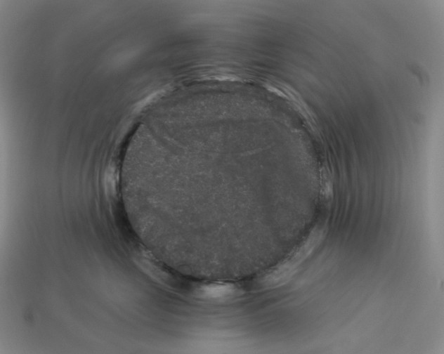 X0000112900669200910021436