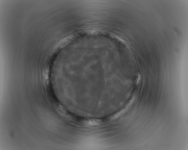 X0000112900670200910021436