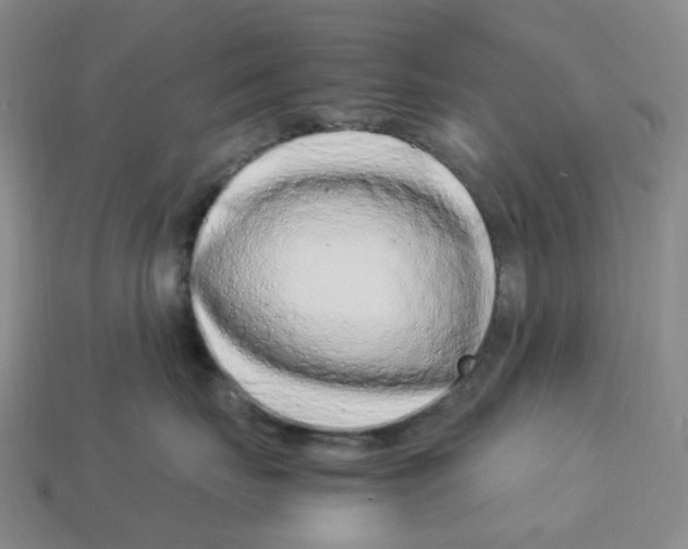 X0000112900671200910021436
