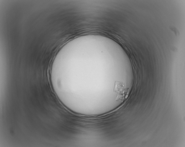 X0000112900672200910021436