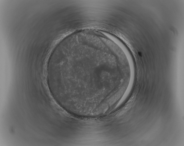 X0000112900673200910021435