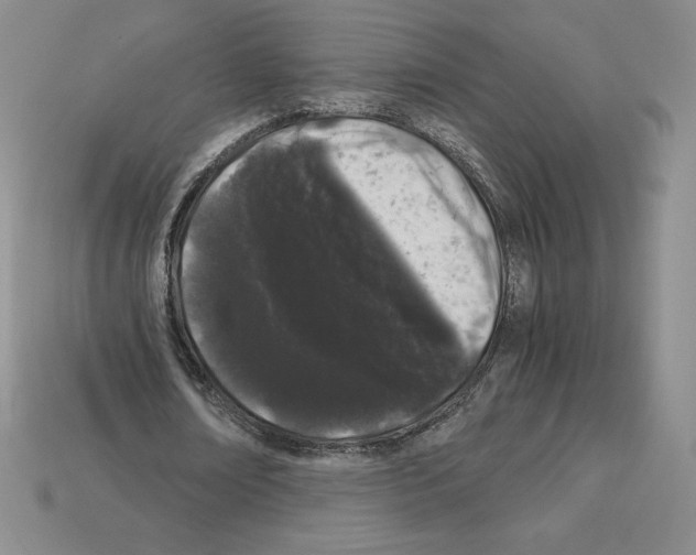 X0000112900674200910021435