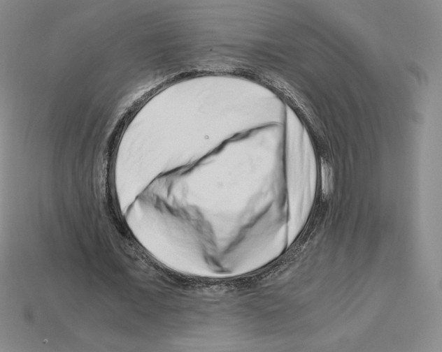 X0000112900675200910021435