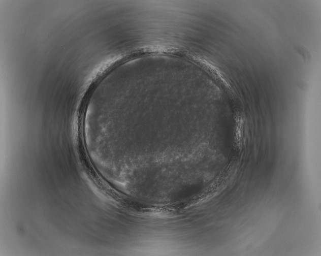 X0000112900678200910021435