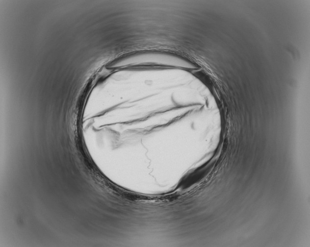 X0000112900679200910021435
