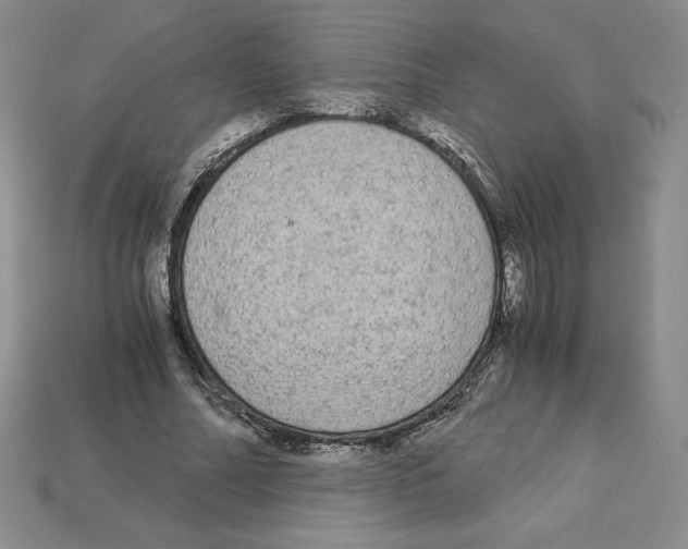 X0000112900682200910021435
