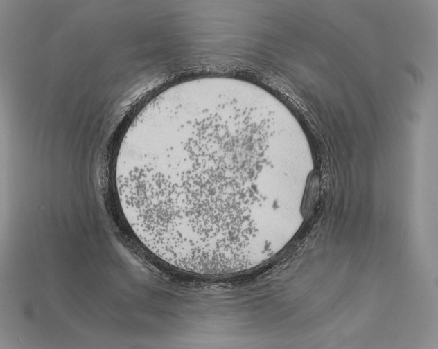X0000112900683200910021435