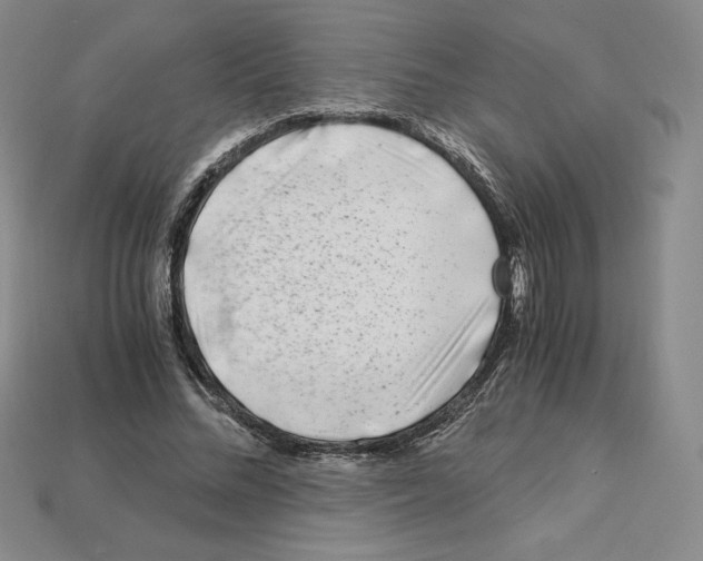 X0000112900684200910021435