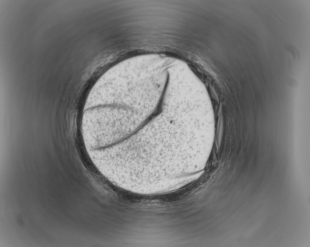 X0000112900685200910021435
