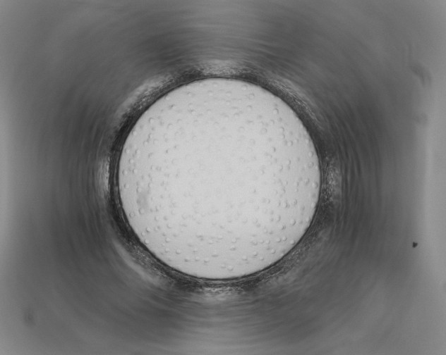 X0000112900686200910021435