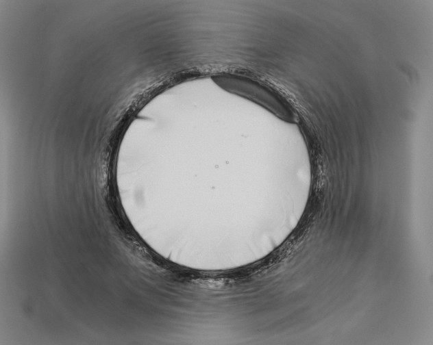 X0000112900687200910021435