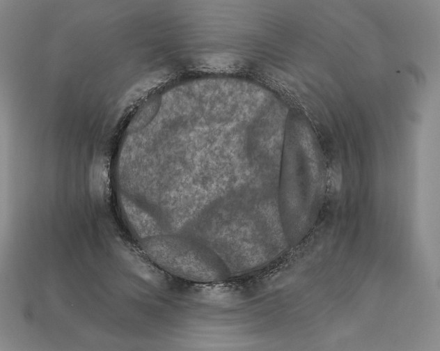X0000112900688200910021435